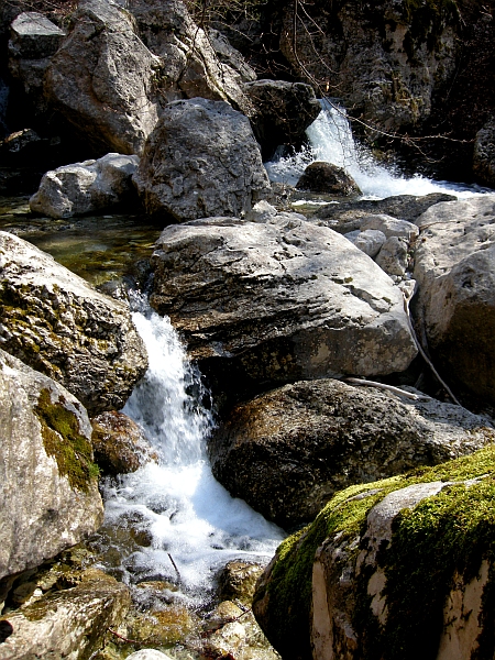Escursione Parco Nazionale d''Abruzzo